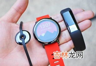 运动手环还是运动手表好,运动手表和智能手环有什么区别?哪款性价比更高?