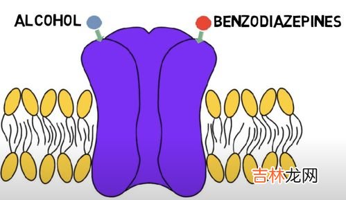 gaba氨基丁酸哪个品牌好,有哪些品牌的伽马氨基丁酸含量高的？专门针对孩子长高的？