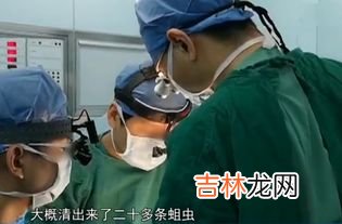 用什么可以杀死苍蝇卵,碘伏能杀死苍蝇卵吗