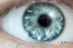 人类5种罕见的瞳孔是什么,世界上有多少种瞳孔的颜色?