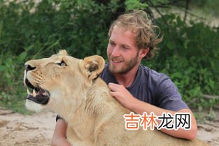 为什么公狮子怕母狮子,为什么公狮子怕母狮子