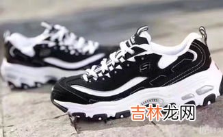 斯凯奇是哪国的品牌,斯凯奇是哪国的品牌